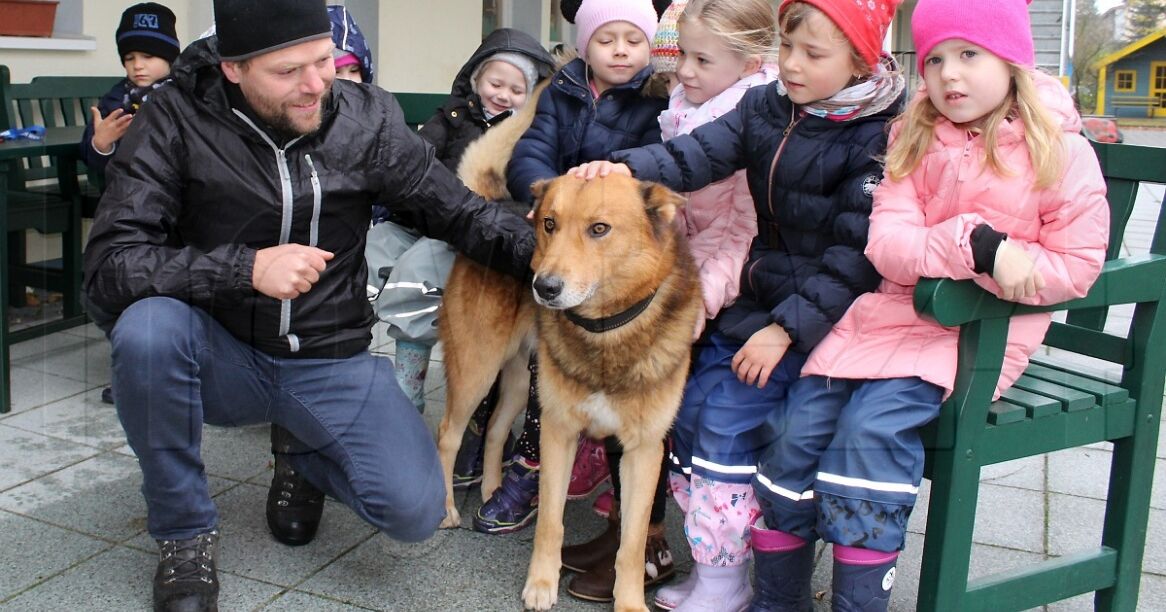 Hoyte Nachrichtenportal F R Hoyerswerda Besuch Von Bobby