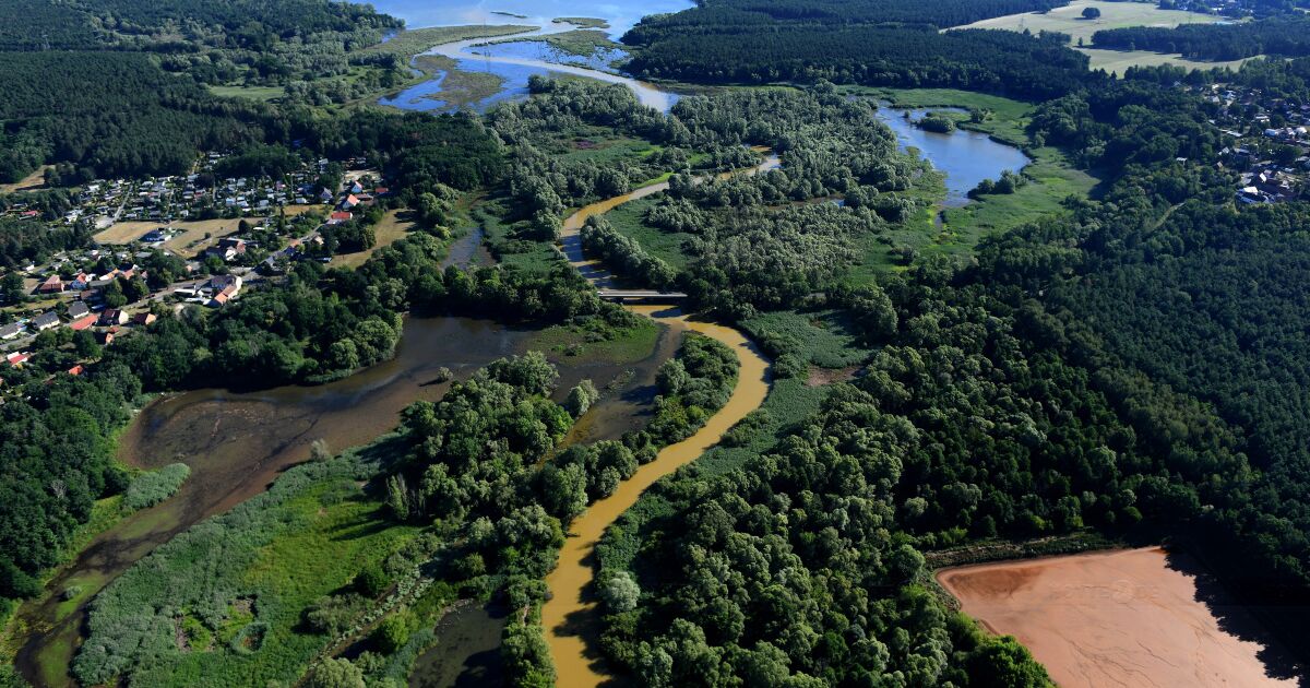 Hoyte Nachrichtenportal F R Hoyerswerda Trockenheit Hilft Bei Der