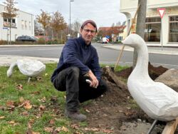 Nach Anschlag – Eine siebte Gans ist wieder da