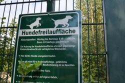 Kein weiteres Geld für den Hundeplatz