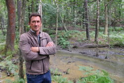 Wie trübe Schlamm-Brühe in den Wald gelangt