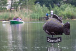 Auch in diesem Sommer kann gerudert werden