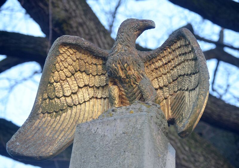 Ein mehr als 150 Jahre alter Adler