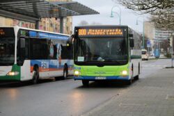 Neue Busse von und nach Cottbus unterwegs