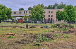 Arbeiten für die Sommerferien vergeben