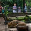 Im Schnitt kommen jedes Jahr 120 000 Menschen als Besucher in den Hoyerswerdaer Zoo.