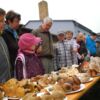 Regen Andrang fand am Sonnabend die Pilzausstellung der Ortsgruppe Wittichenau des Naturschutzbundes Sie zeigte 150 frisch am Freitag bei Lohsa, Dubring und Uhyst gesammelte Pilzarten.