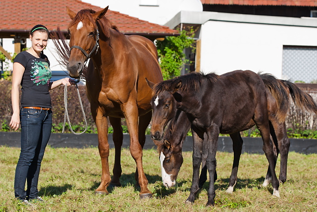 Christin Lippitsch mit den Zwillingsfohlen Balouga (vorn), Cassbalou und der Mutterstute Balourina.