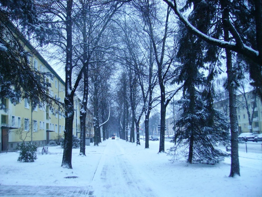 Winter in Hoyerswerda
