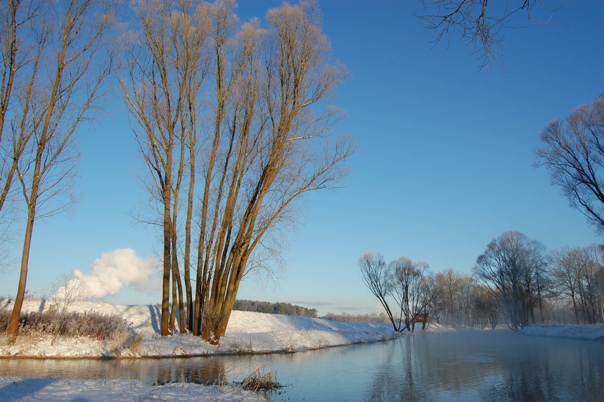 Winter an der Spree