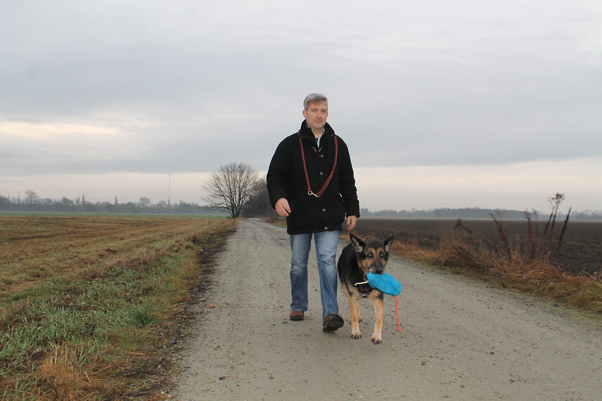 Mit Hunden auf Wanderschaft
