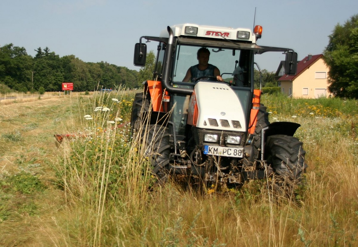 Wiese weicht Eigenheimen