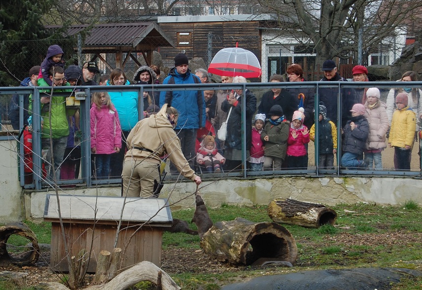 Osterführungen im Zoo