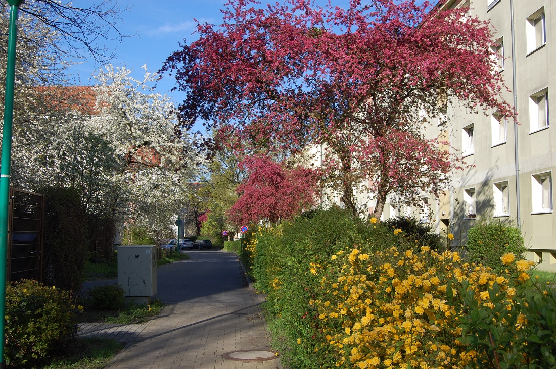 Bunter Frühling