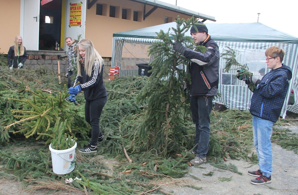 Maibaum-Ranke fertig