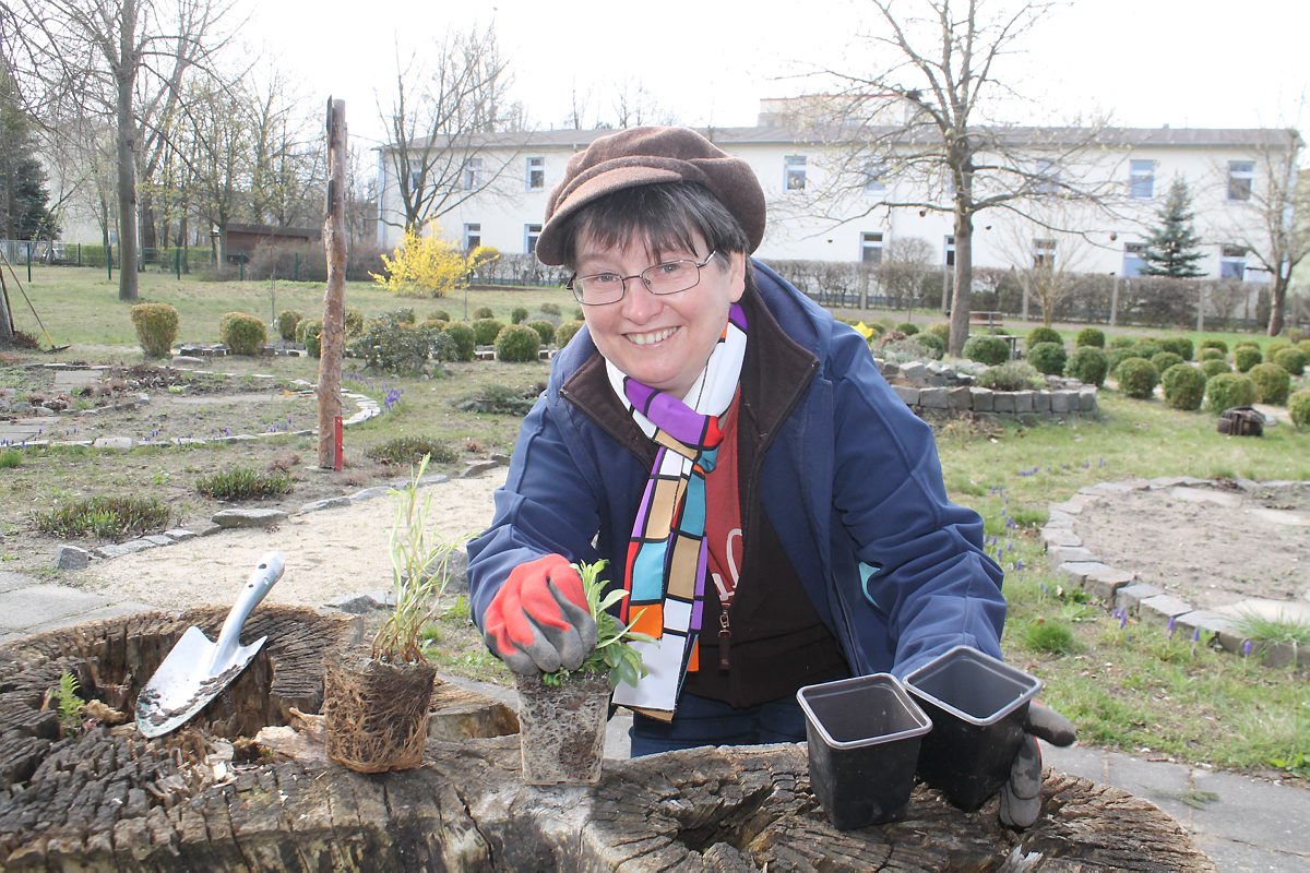 Hilfe aus dem Kräutergarten