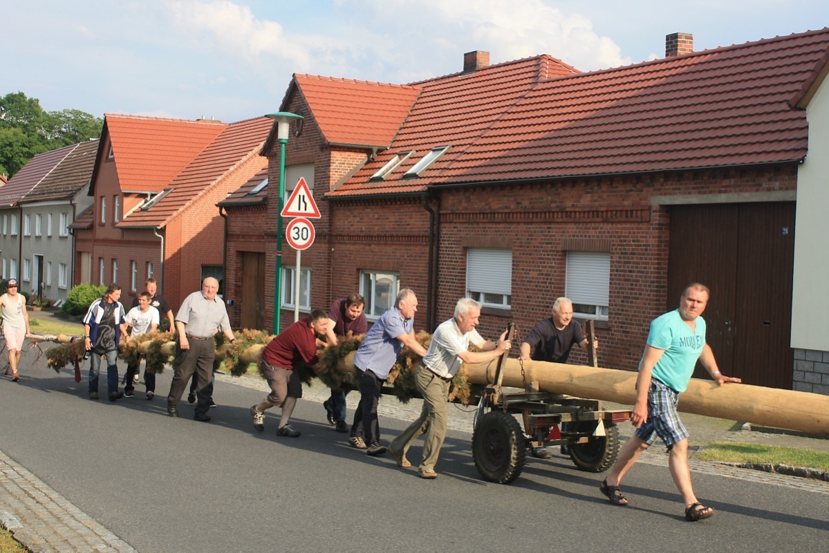 Maibaum auf Reisen