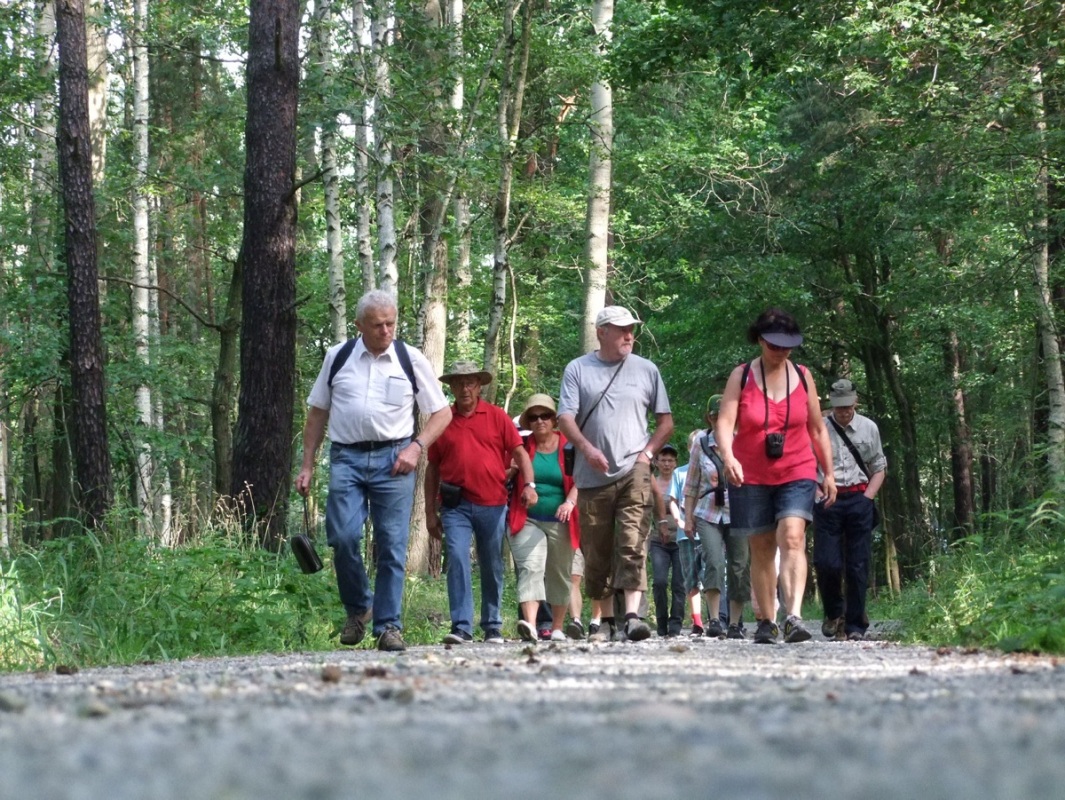 Wandern im Moor