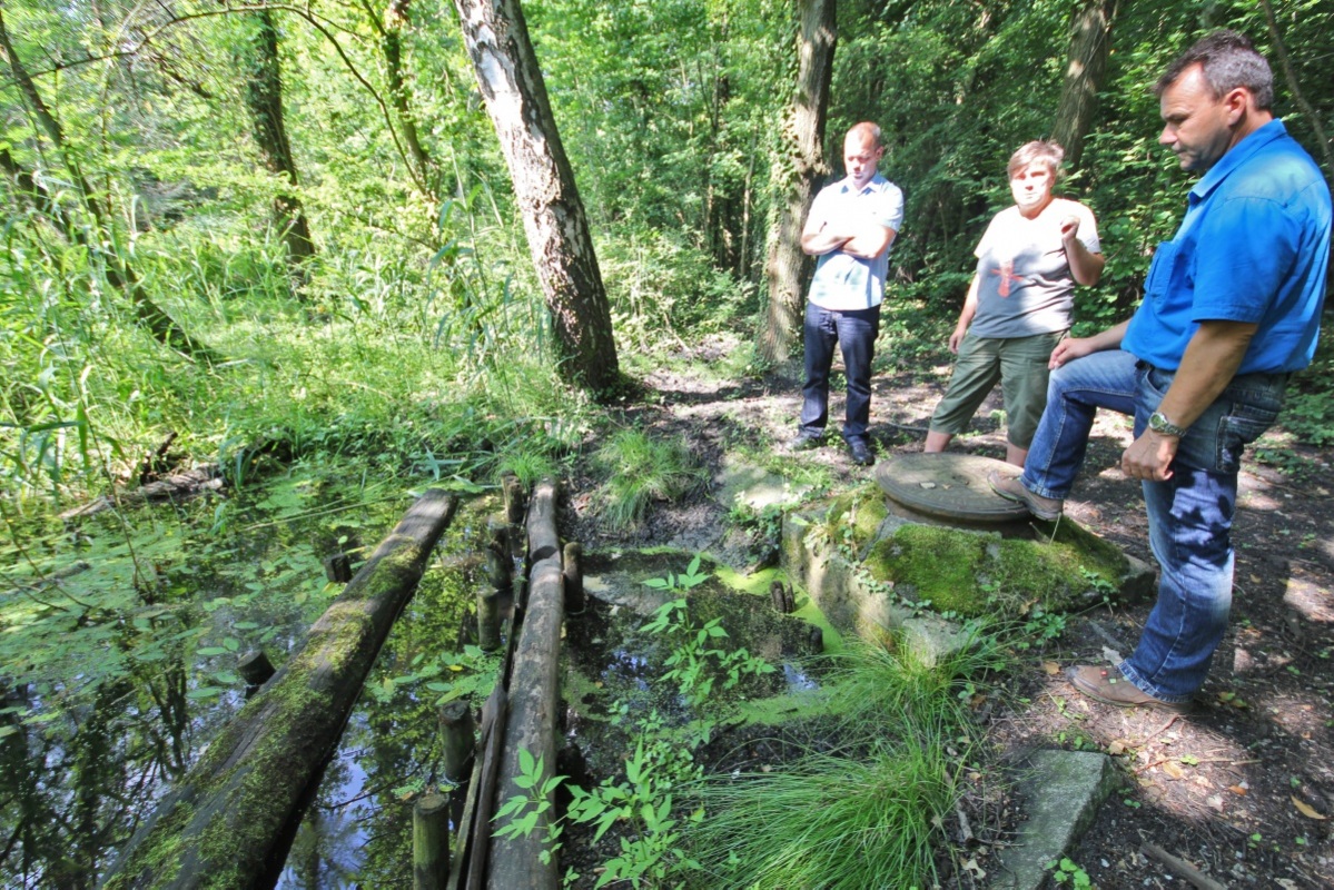 Stadtpark wird entwässert