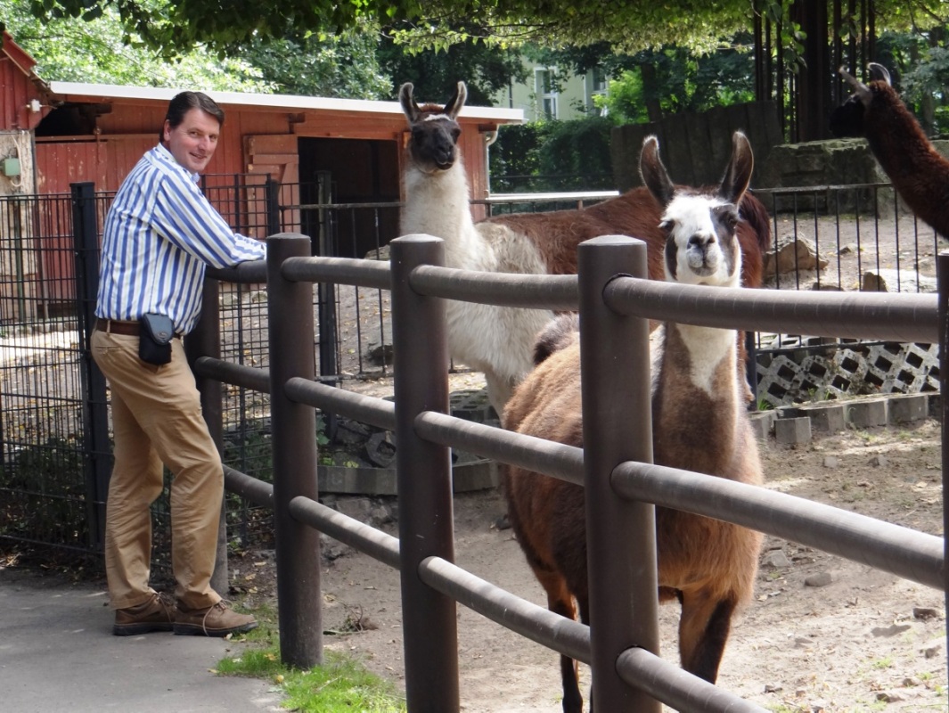 Umzüge im Zoo