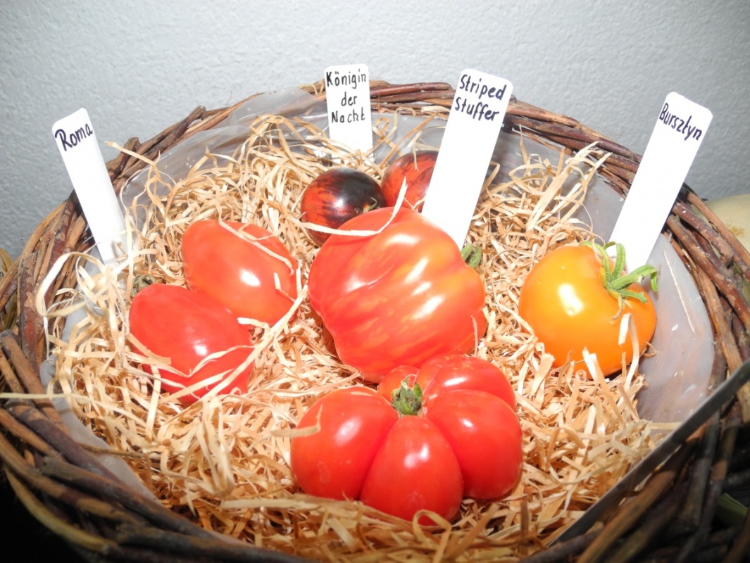 Nutzpflanzenvielfalt erhalten
