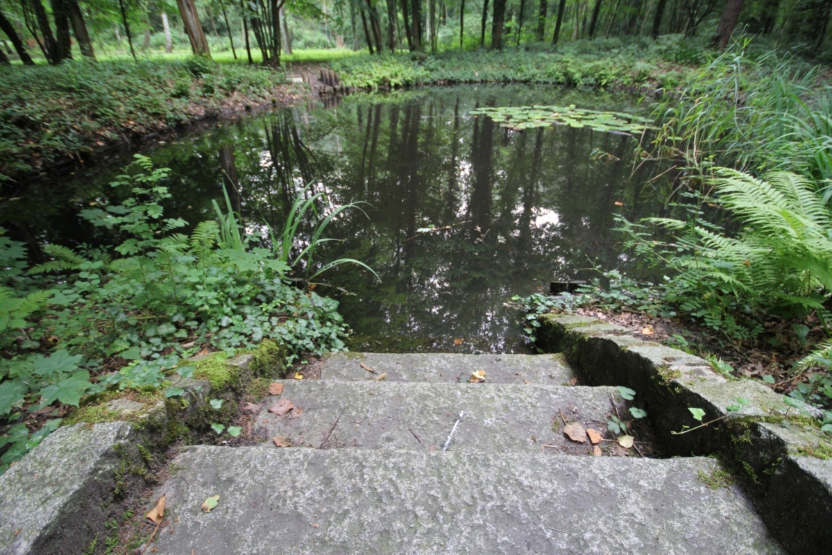 Stadtpark Lauta wird schöner