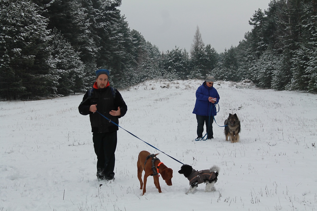 Mit Hund durch den Winterwald