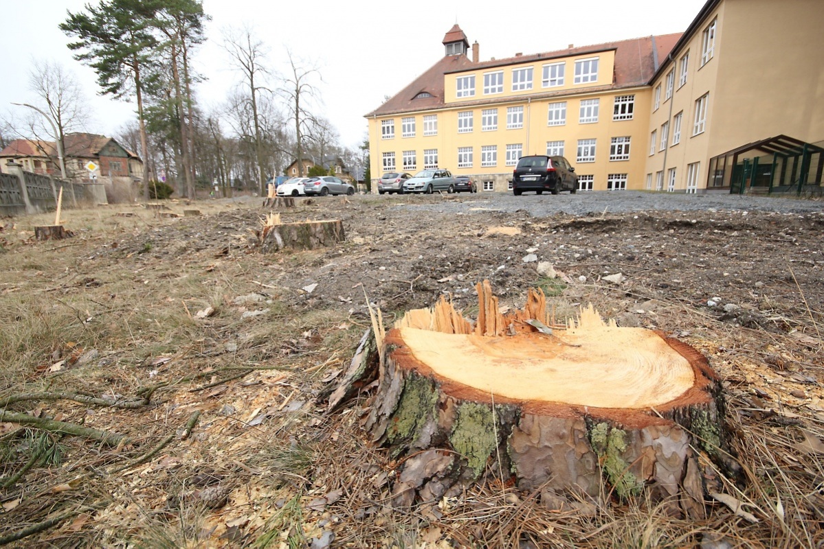 Parken, Lernen, Spiel und Spaß