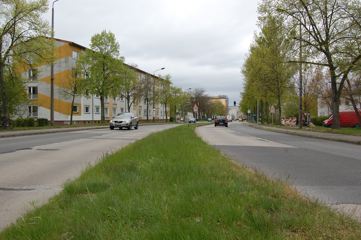 Untersuchung beauftragt