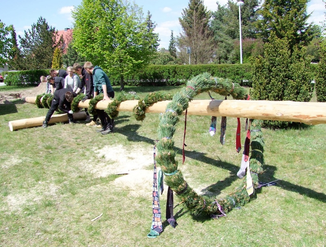 Der Zeißiger Maibaum wird montiert. Foto: Rainer Könen