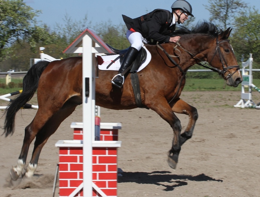 Der für den RSV Partwitz startende Wittichenauer Fritz Dubau auf Rufus wurde Zweiter im Kreuz-Parcour-Springen. Foto: Werner Müller