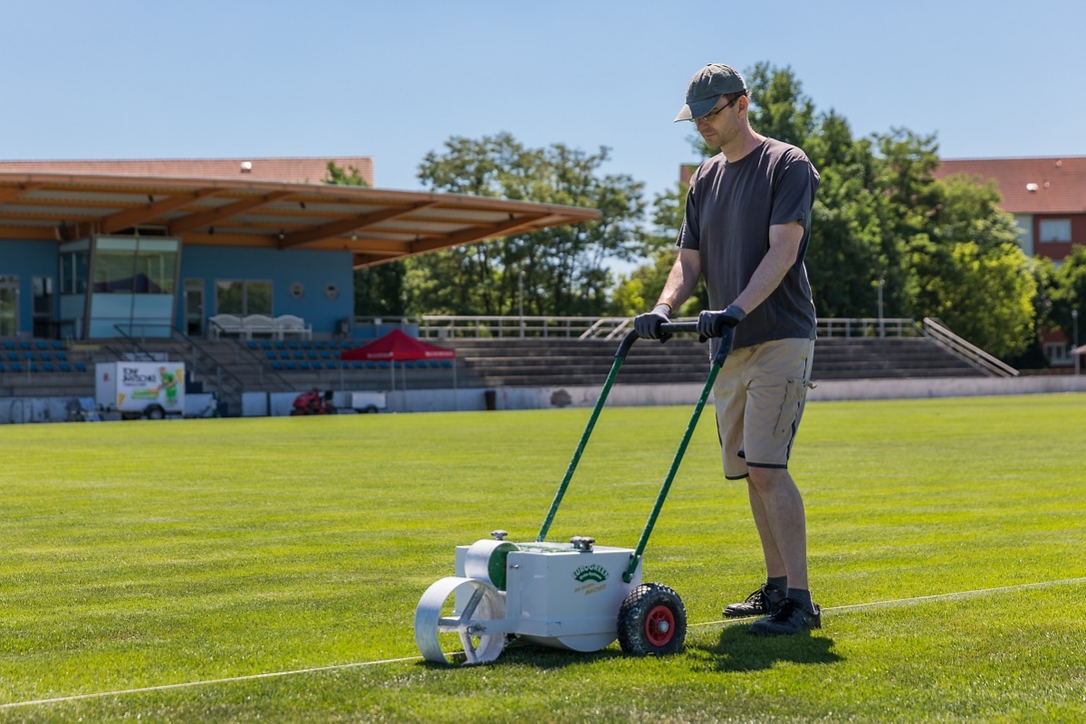 Mitgemacht im Stadion