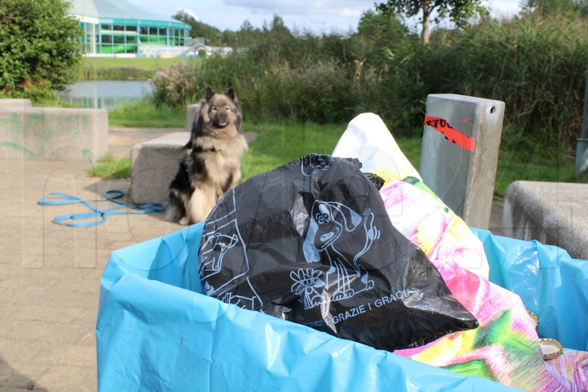 Gemeinsam gegen Hundekot