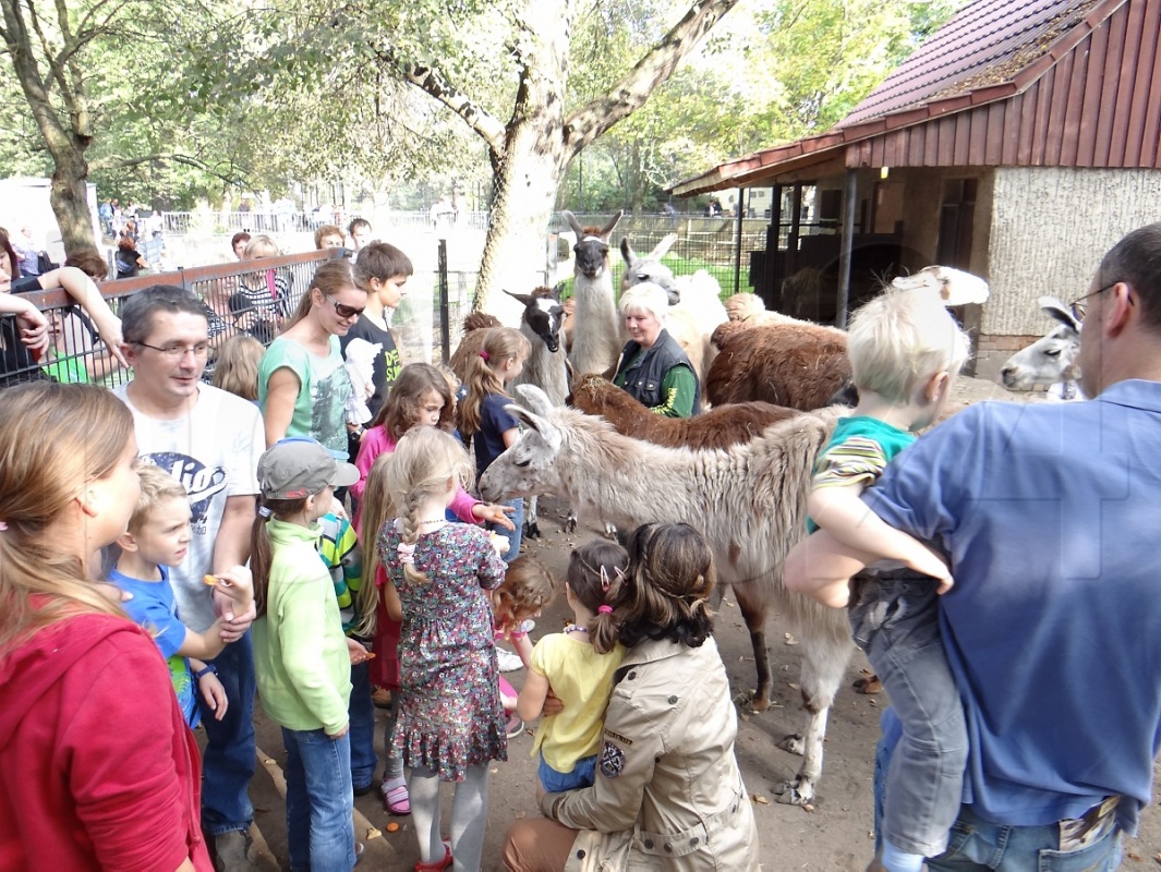 Tiere hautnah erleben