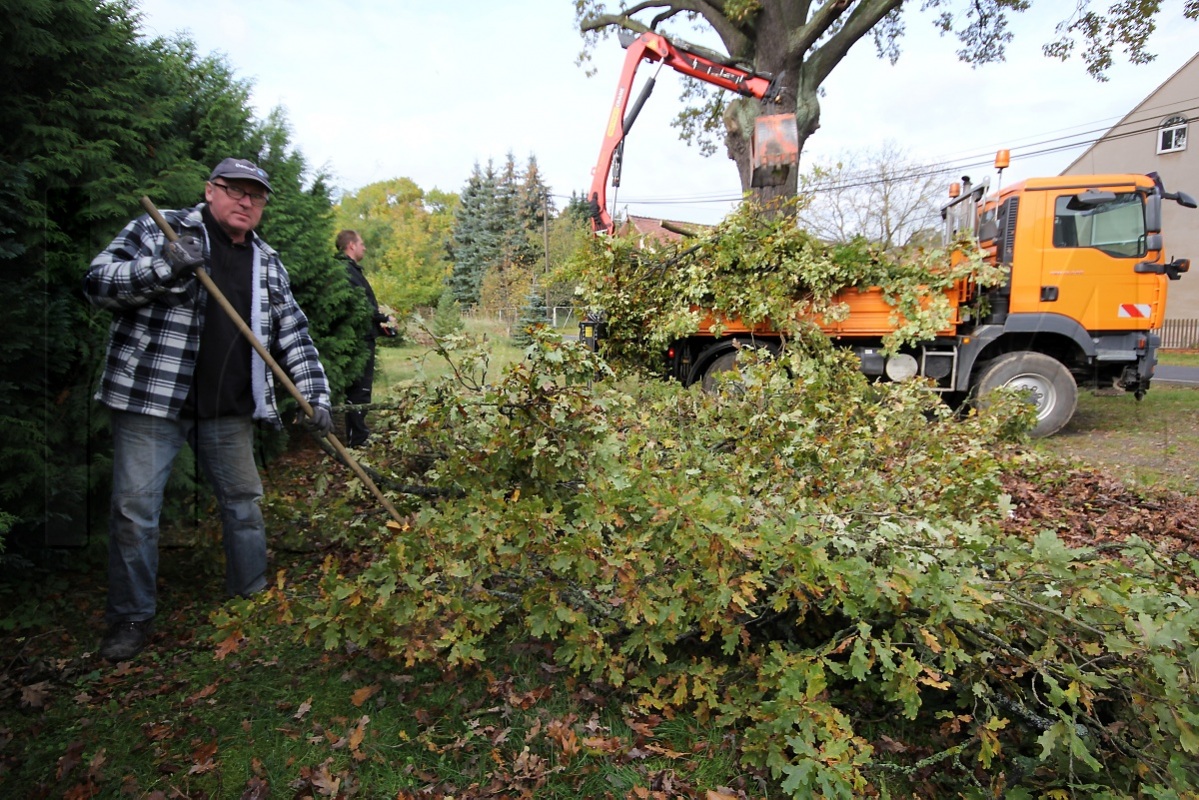 Aufräumen in Zeißholz