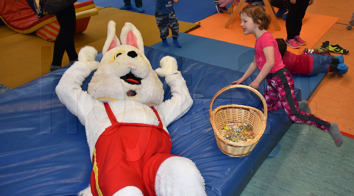 Sportfest mit Hase