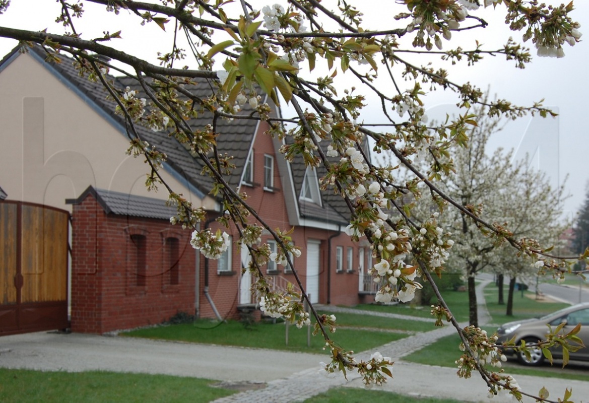 Frühling in Bröthen