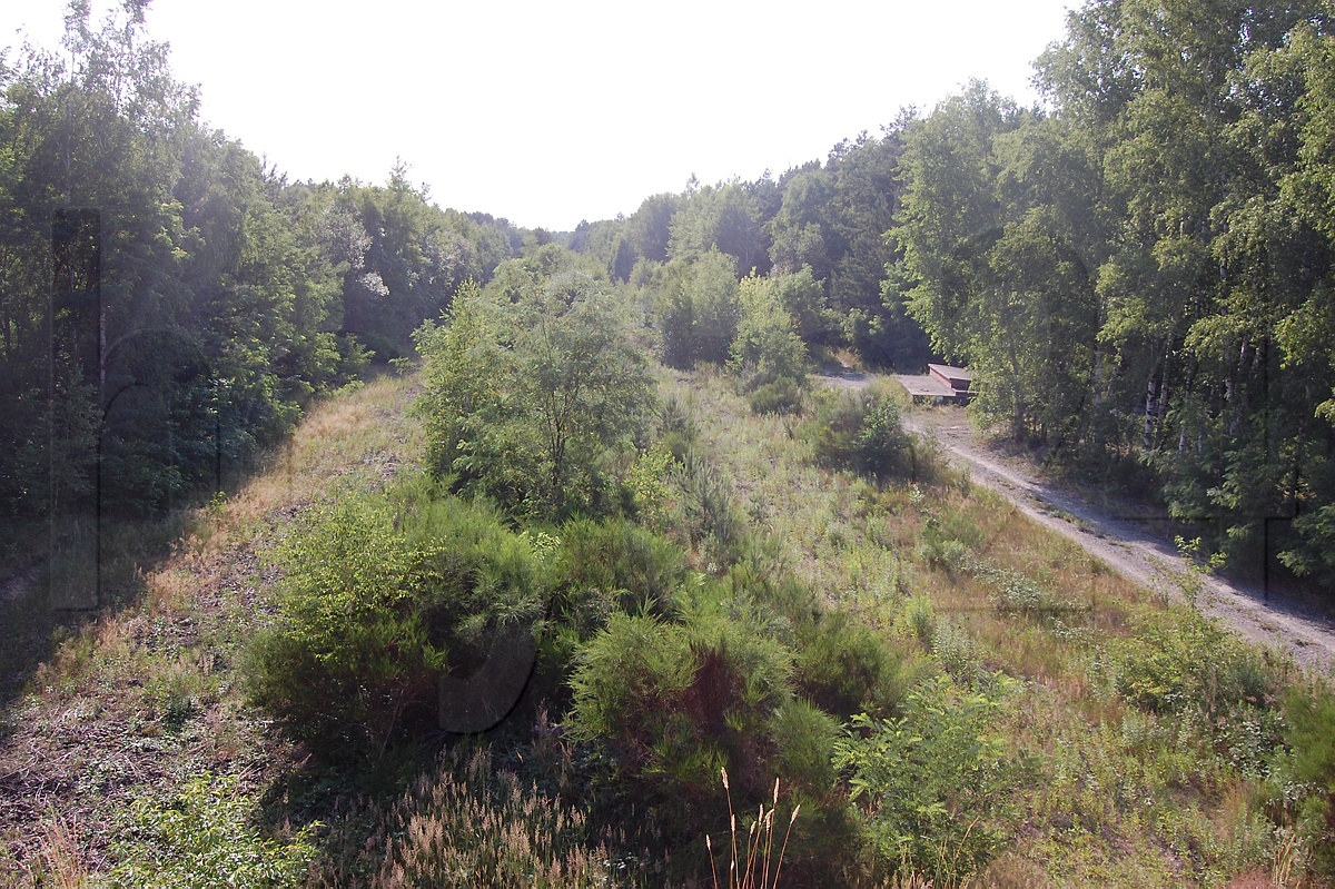 Trasse für neue Straße