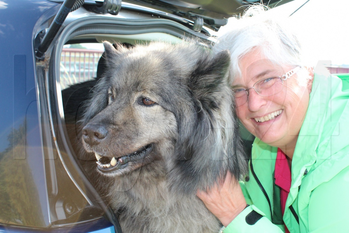 Unterwegs mit Hund