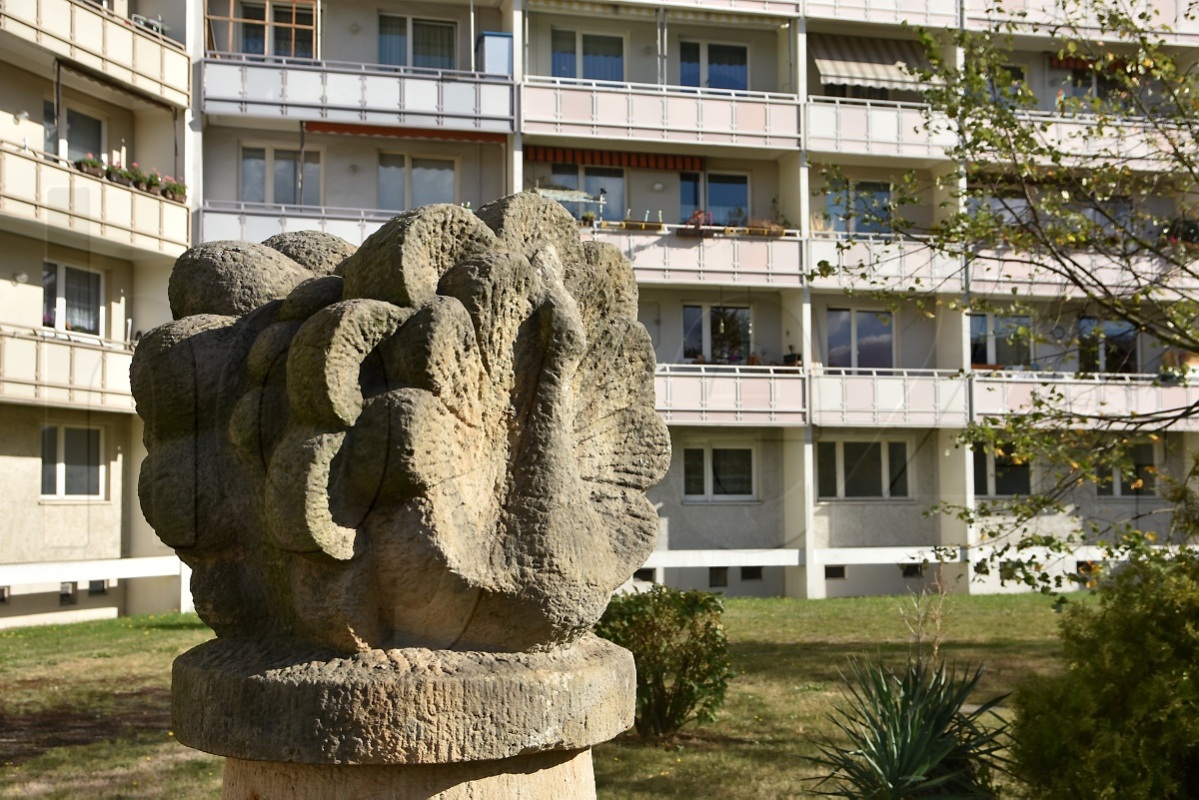 Pfau am Hochhaus