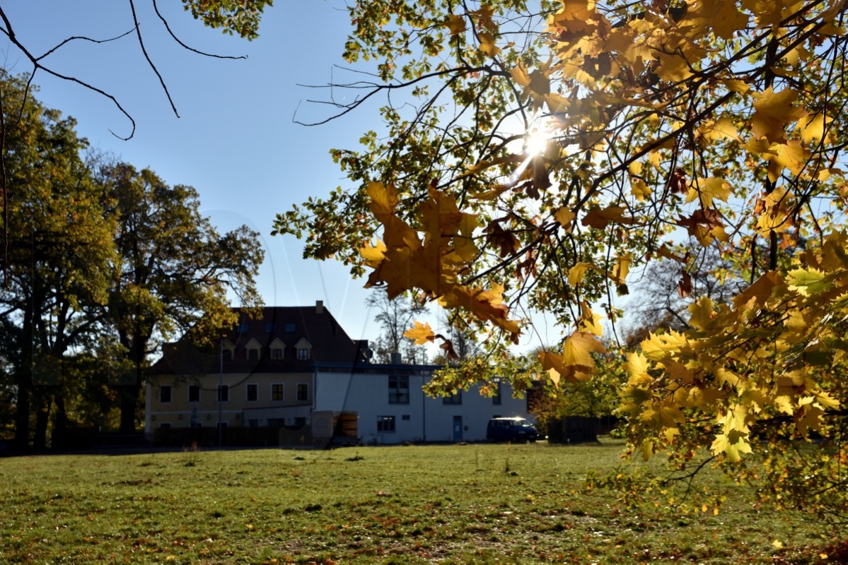 Goldener Herbst