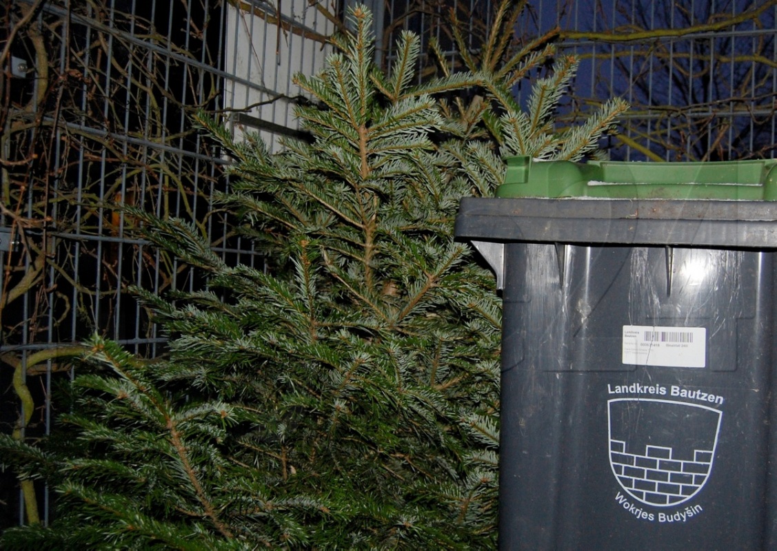 Wie man den Baum los wird