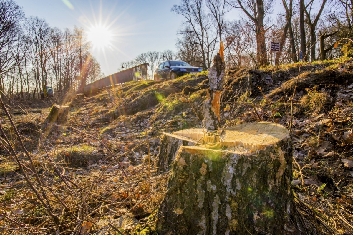 Brückenneubau beginnt