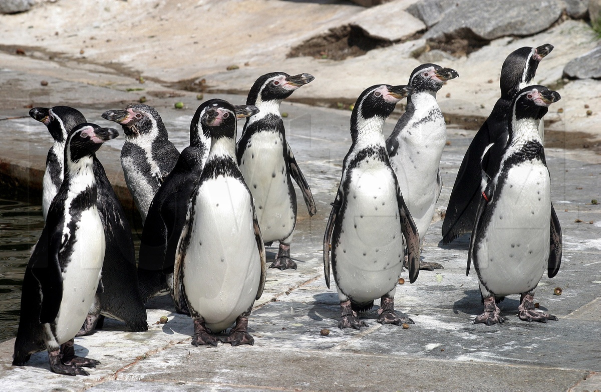 60.000 € für den Zoo