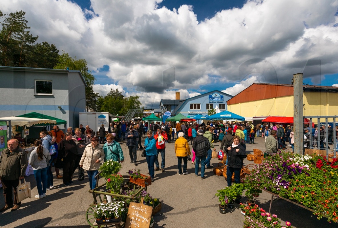 Dicht umlagert: einfach alles auf der Krabat Milchwelt Kotten. Foto: Gernot Menzel