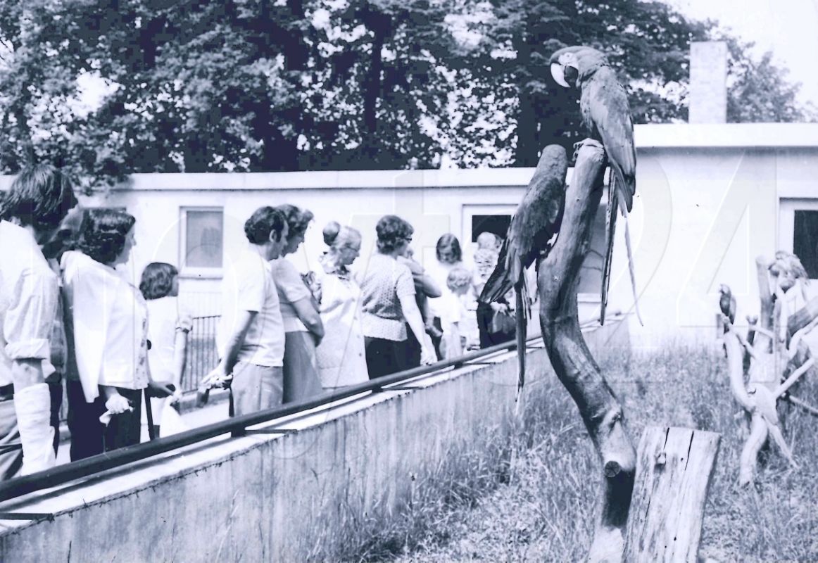 Sonderausstellung zu 60 Jahren Zoo Hoyerswerda