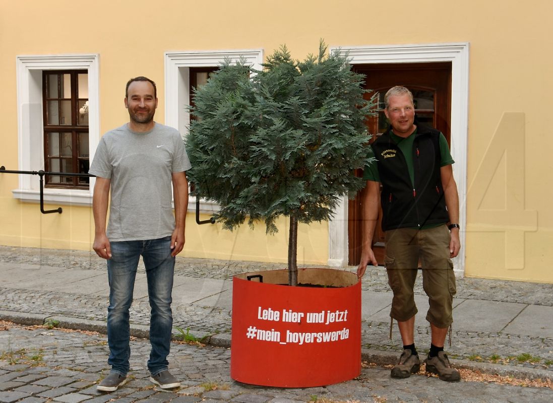 Mietpflanzen für den Boulevard Altstadt