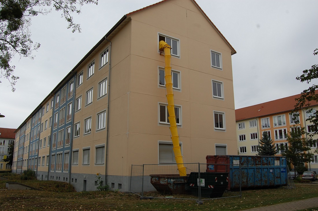 Ungebetener Besuch bei der Haussanierung