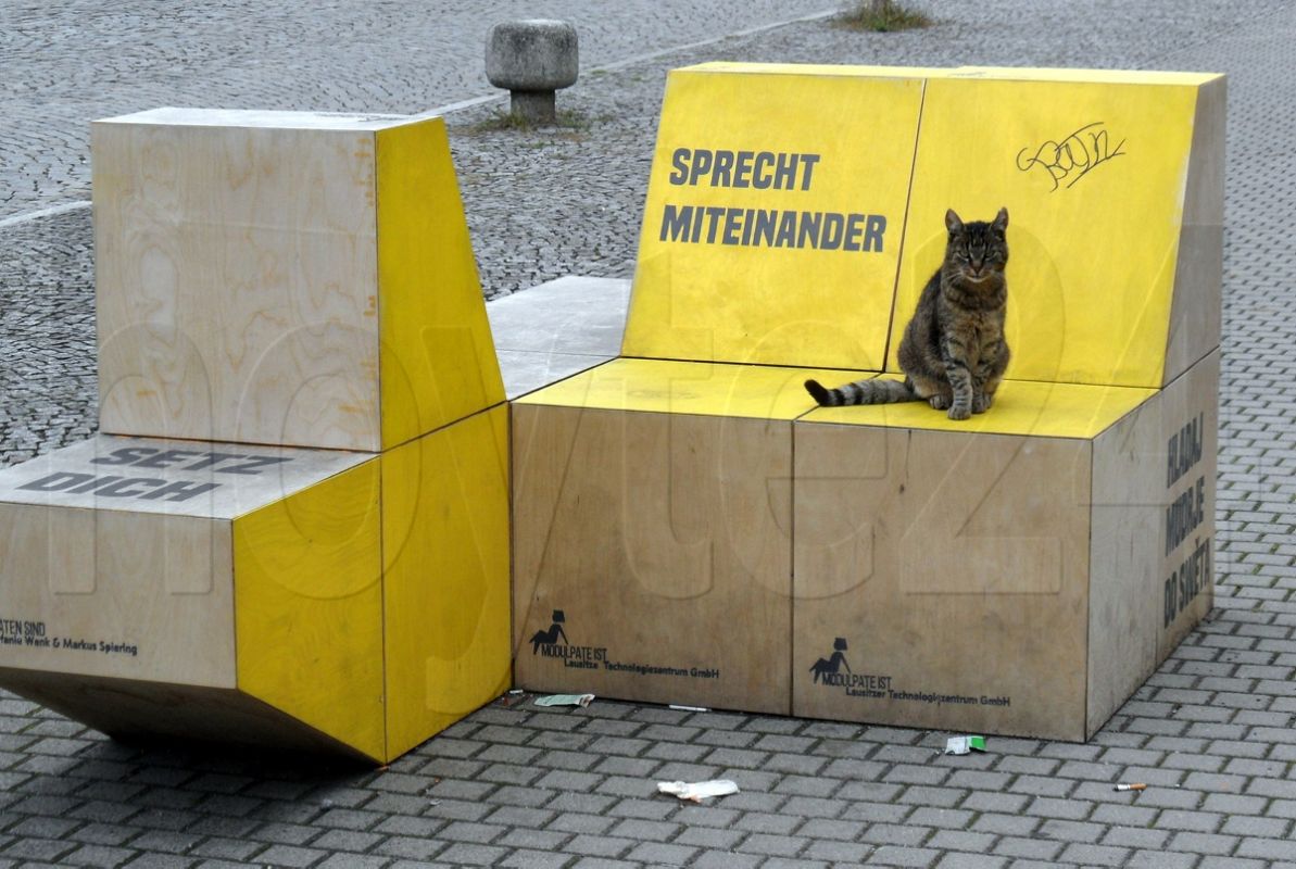 Wo auch Katzen sich gern ausruhen ...