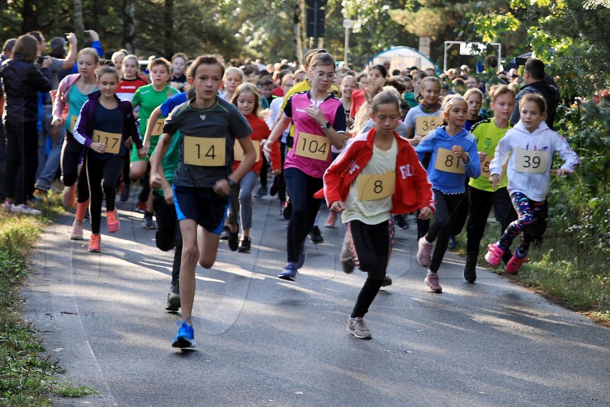 Lessing-Lauf mit mehr als 550 Teilnehmern